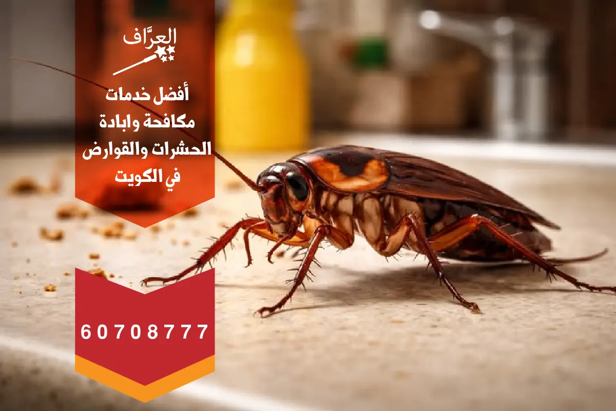 تطبيق الجل الأمريكي المتقدم للقضاء على الصراصير المنزلية