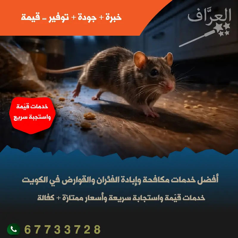 مكافحة فئران وقوارض العاصمة كفالة سنة