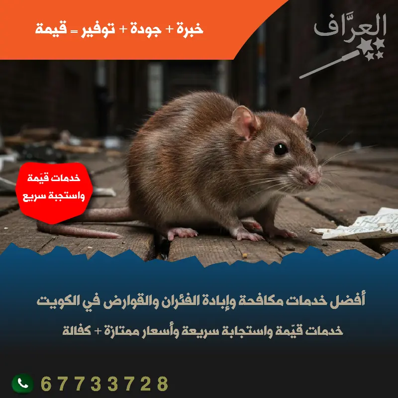 مكافحة فئران وقوارض حولي كفالة سنة
