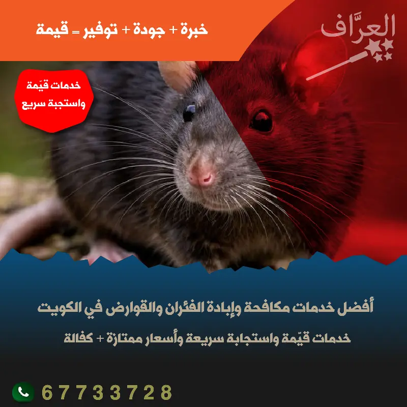 مكافحة فئران وقوارض مبارك الكبير كفالة سنة