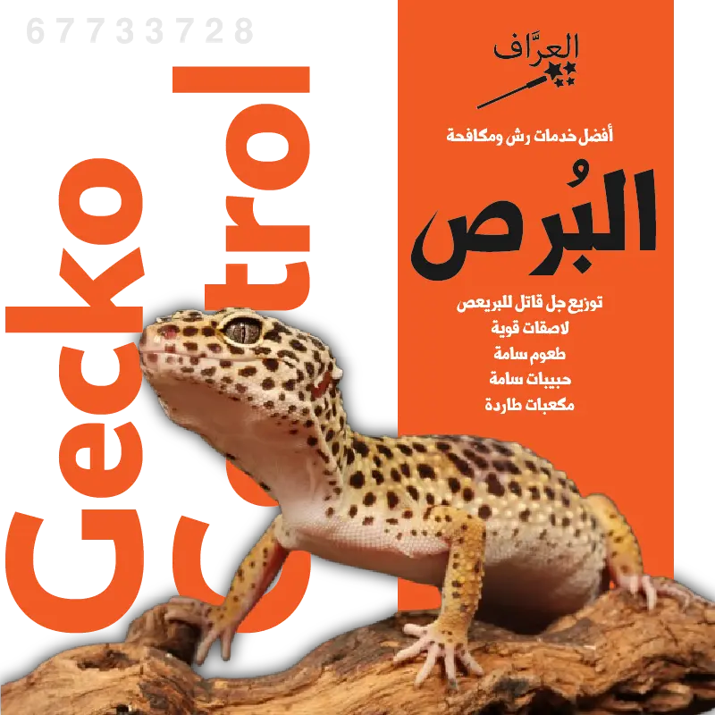 مكافحة البريعص والبرص في المنازل بالكويت