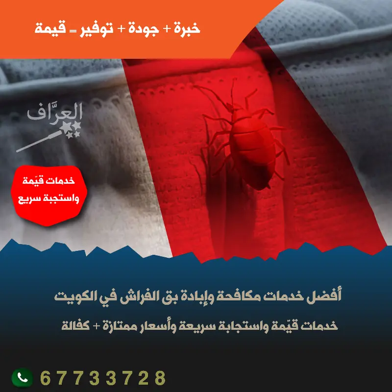 مكافحة بق الفراش في محافظة العاصمة الكويت