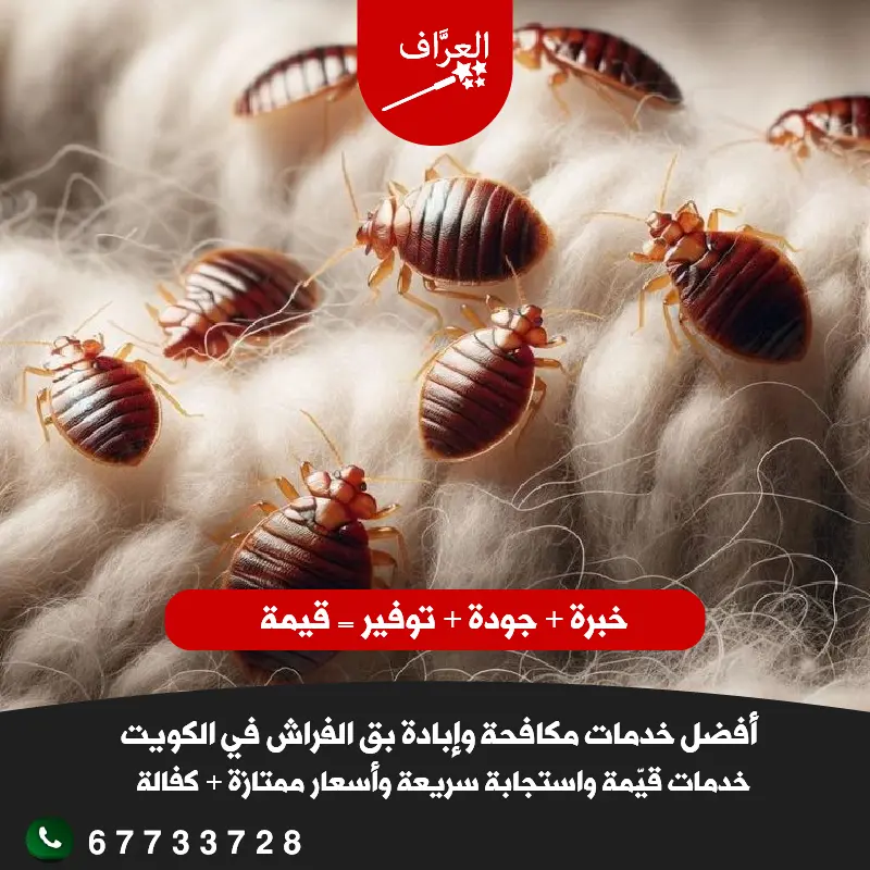 كفالة سنة على مكافحة بق الفراش في الكويت