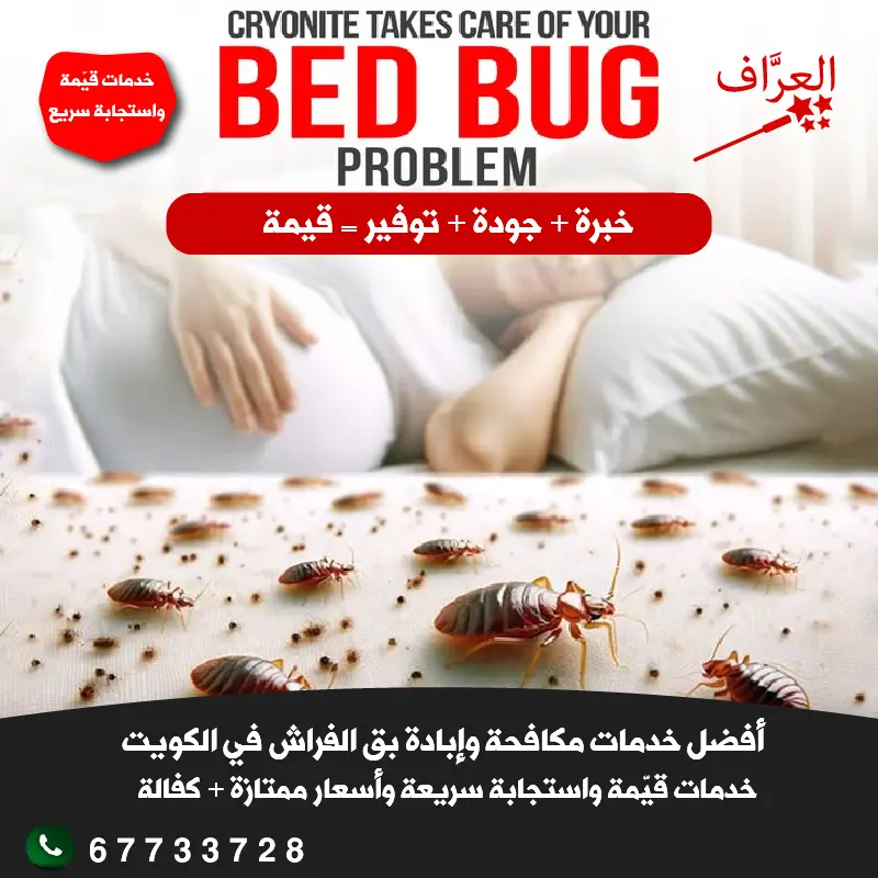 مكافحة بق الفراش في محافظة الفروانية