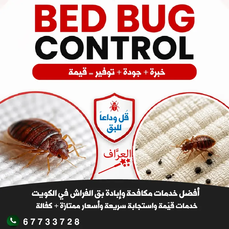 مكافحة بق الفراش في محافظة حولي