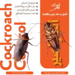 مكافحة صراصير زهيوي في الكويت مع كفالة سنة من العراف