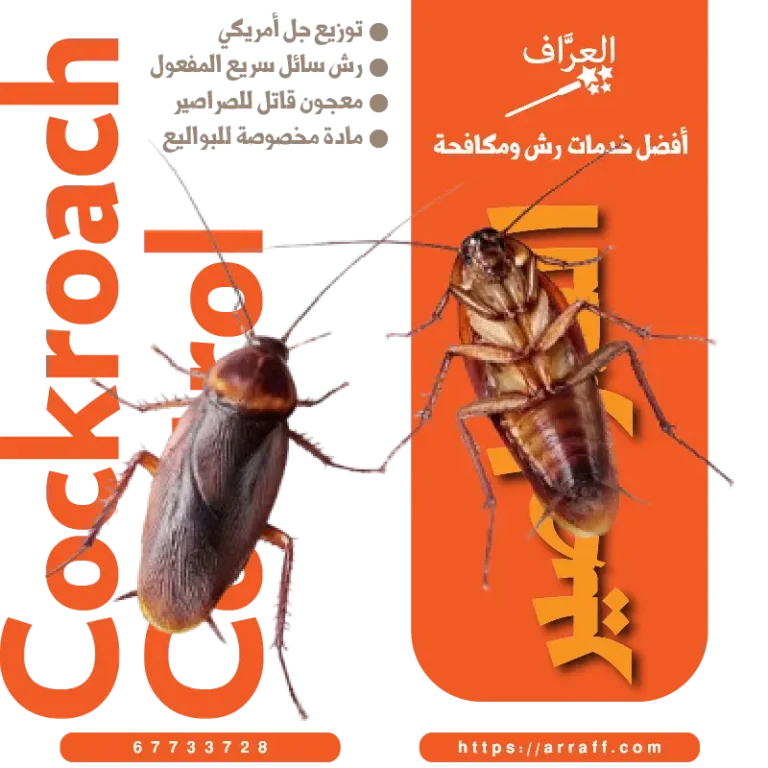 مكافحة صراصير زهيوي في الكويت مع كفالة سنة من العراف