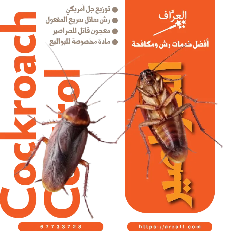مكافحة صراصير زهيوي في الكويت مع كفالة سنة من العراف