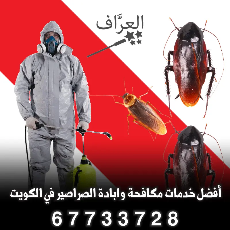 صراصير زهيوي في الكويت وطرق القضاء عليها نهائياً