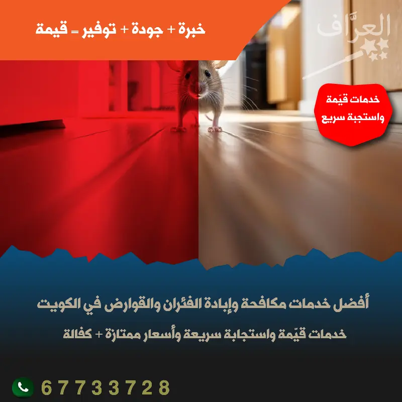 مكافحة الفئران والقوارض في محافظة الأحمدي