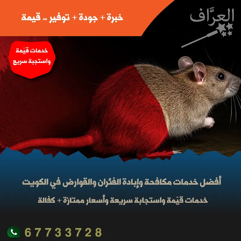 مكافحة الفئران والقوارض في محافظة الجهراء
