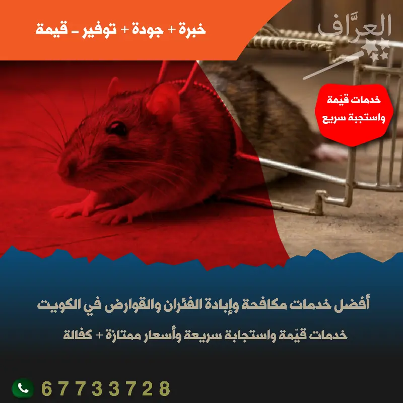 مكافحة الفئران والقوارض في محافظة الفروانية