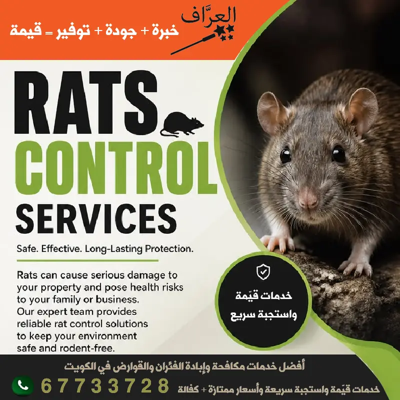 شركة العراف أفضل مكافحة فئران قوارض الكويت كفالة سنة