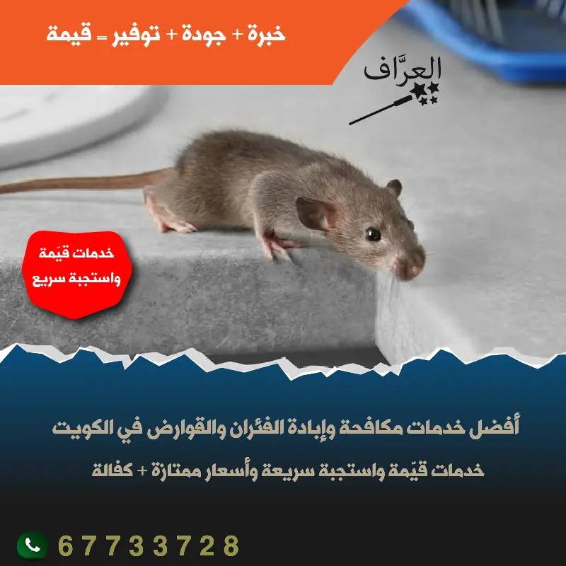 كفالة سنة على مكافحة الفئران في الكويت