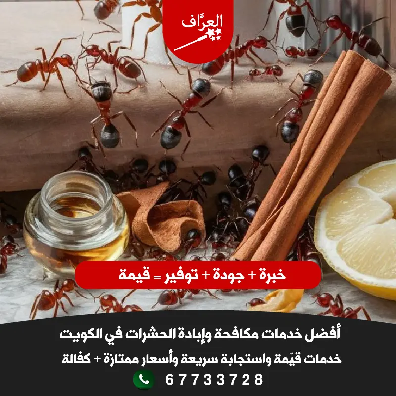 أسعار مكافحة حشرات الفروانية - باقات تبدأ من 15 دينار مع كفالة