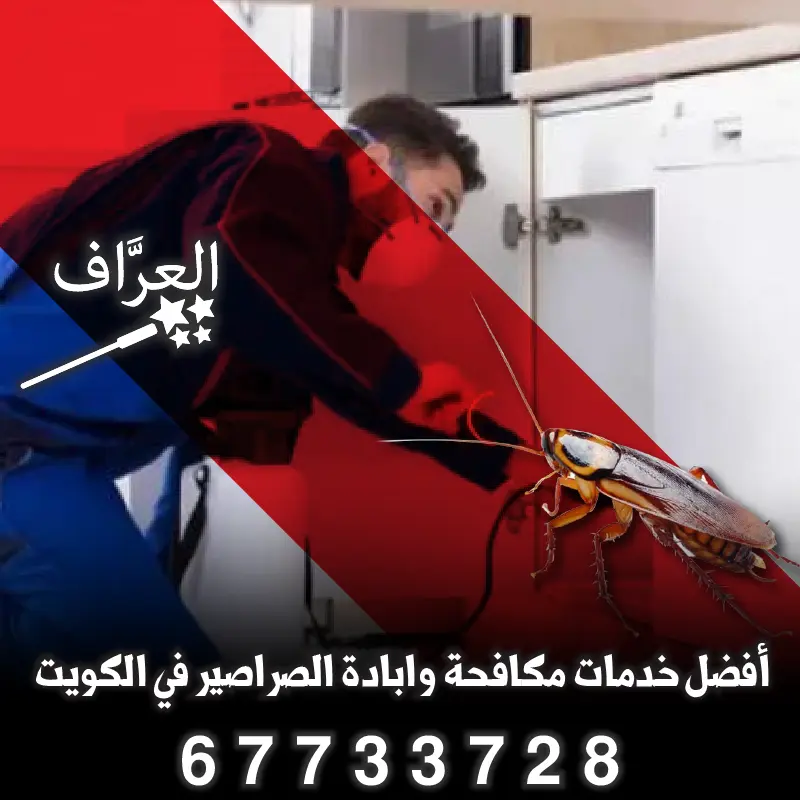 رش وقائي وعلاجي للمنازل والشقق في السرة والرميثية وبيان.