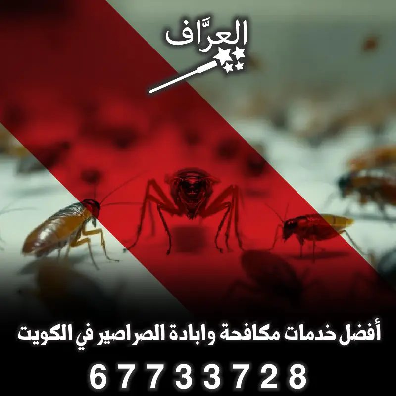 مكافحة صراصير زهيوي في محافظة الجهراء