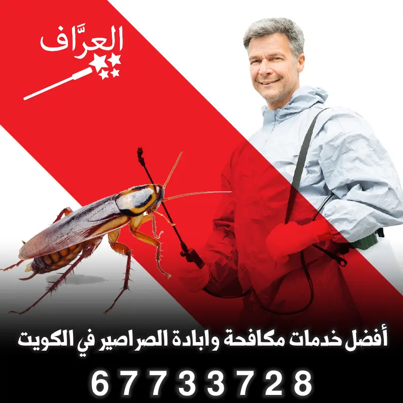 مكافحة صراصير زهيوي في محافظة حولي