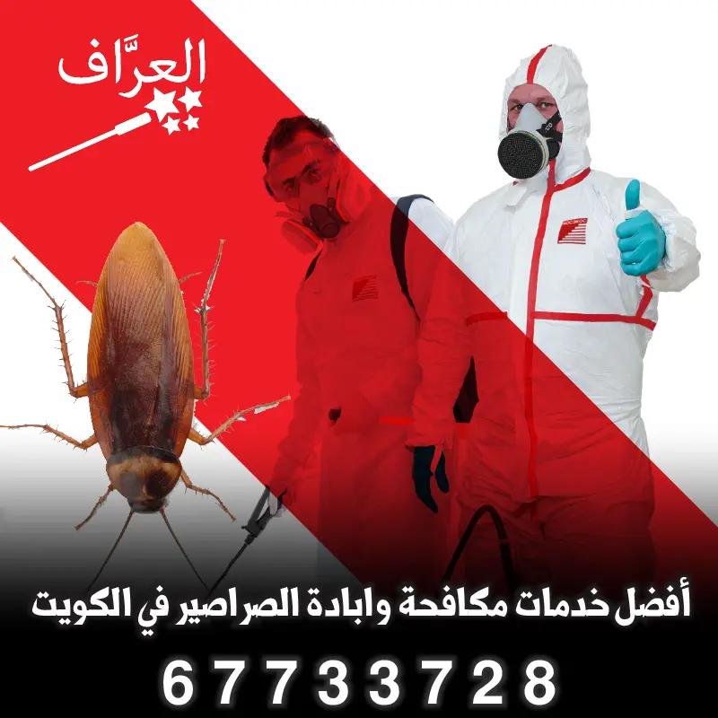 أفضل طرق مكافحة صراصير زهيوي في الكويت