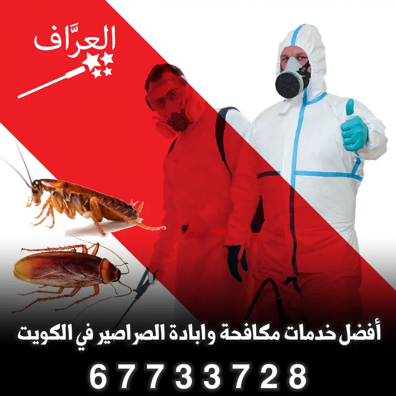 مكافحة حشرات في مبارك الكبير