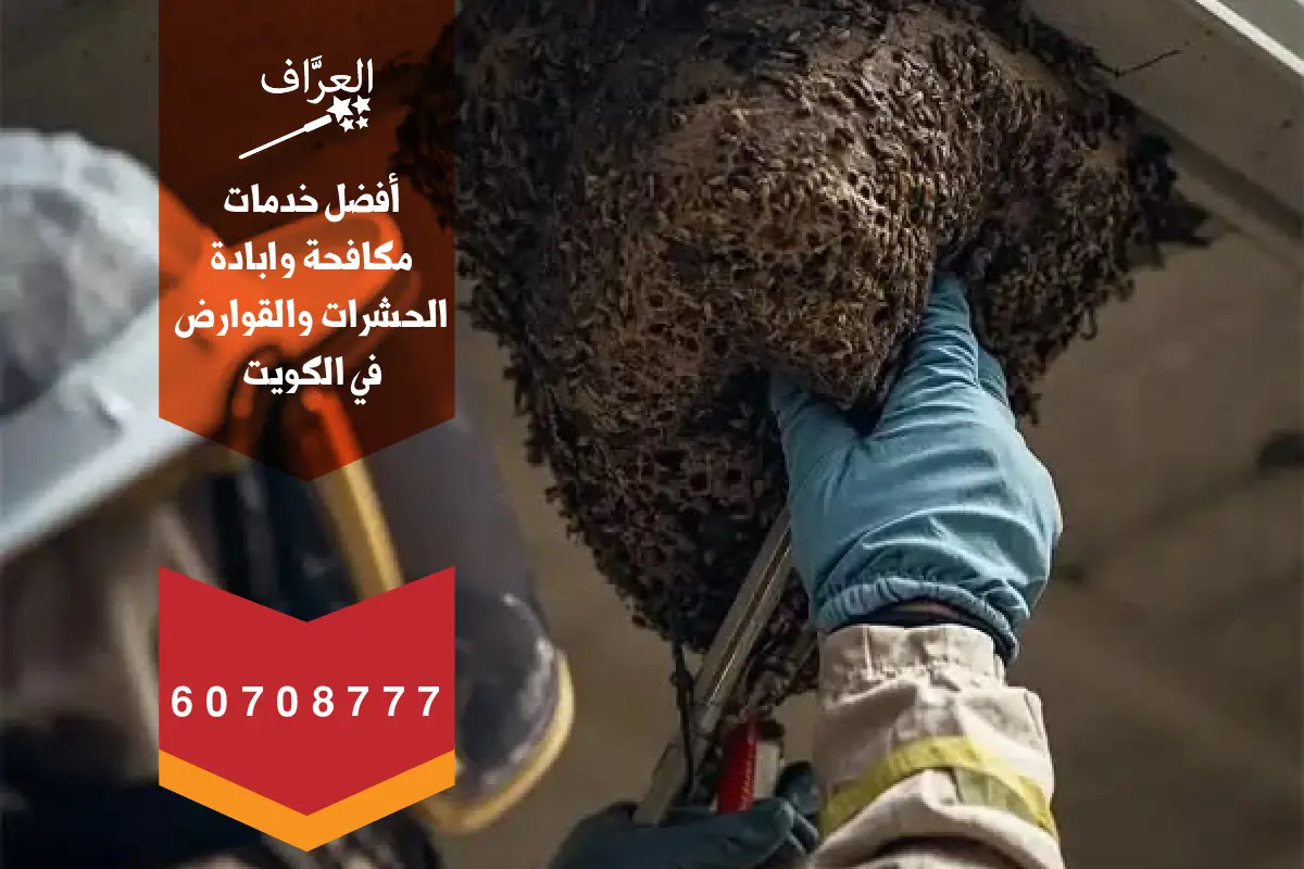 إزالة خلية نحل من سطح مبنى في كيفان الكويت