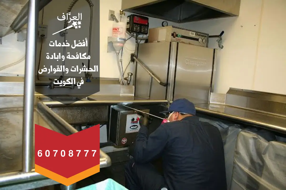 رش مطعم ضمن برنامج مكافحة حشرات وقوارض كيفان بمواد آمنة على الغذاء